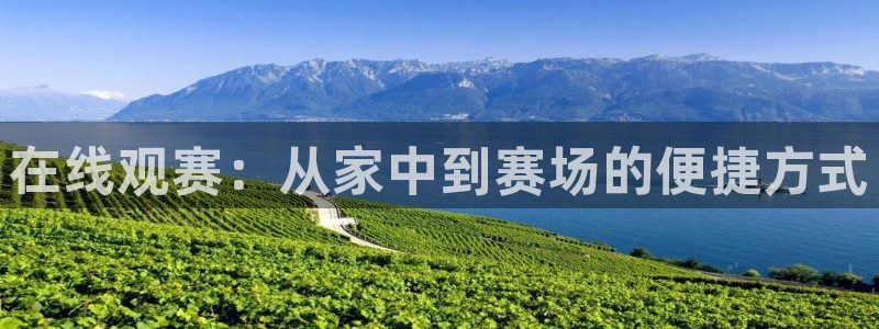 球神体育