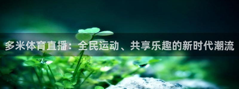 qszb球神直播首页