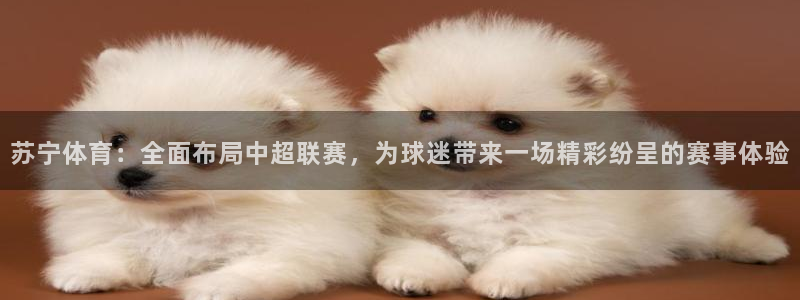 球神直播网
