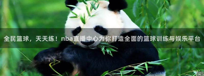 球神直播体育在线观看足球