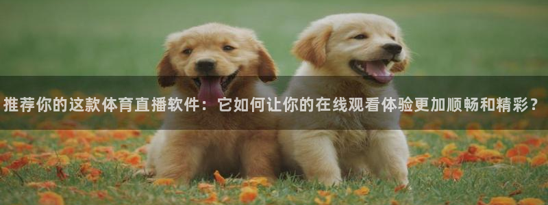 nba直播球神直播