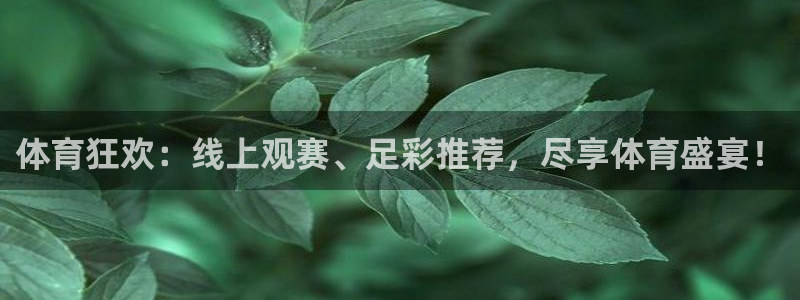 球神体育在线直播：体育狂欢：线上观赛、足彩推荐，尽享体育盛宴！
