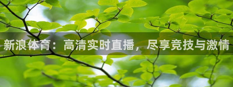 球神直播网：新浪体育：高清实时直播，尽享竞技与激情