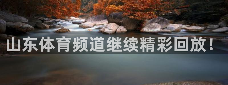 球神直播免费体育直播：山东体育频道继续精彩回放！