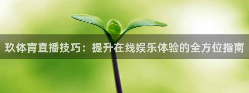 球神体育