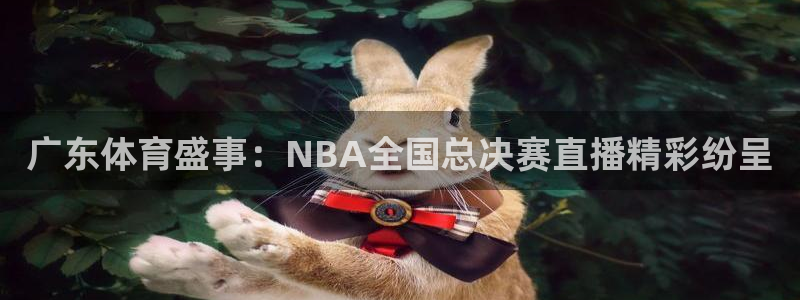 球神直播间：广东体育盛事：NBA全国总决赛直播精彩纷呈