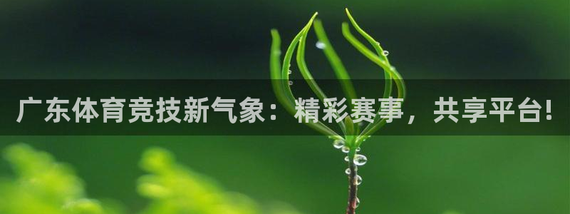 球神直播体育免费直播：广东体育竞技新气象：精彩赛事，共享平台!