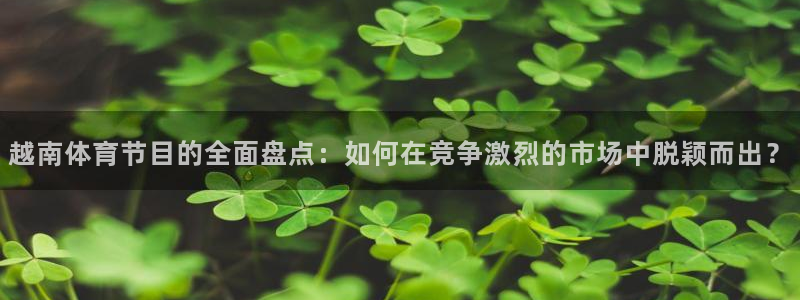 球神直播体育免费直播