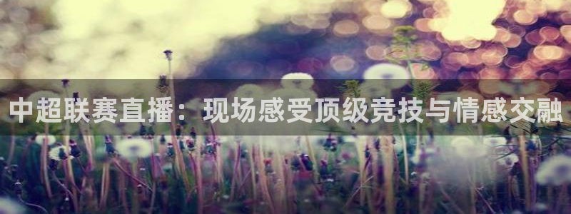 球神体育