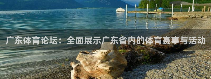 球神直播网