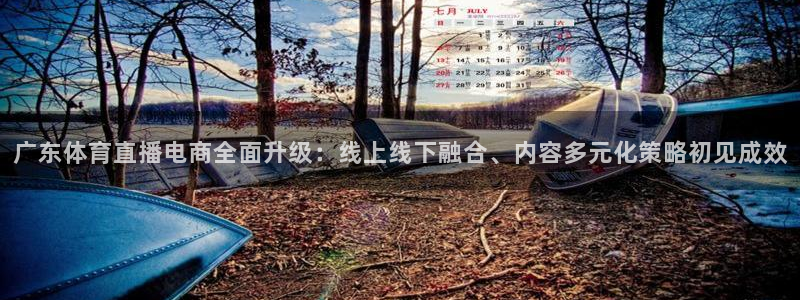 球神体育nba直播